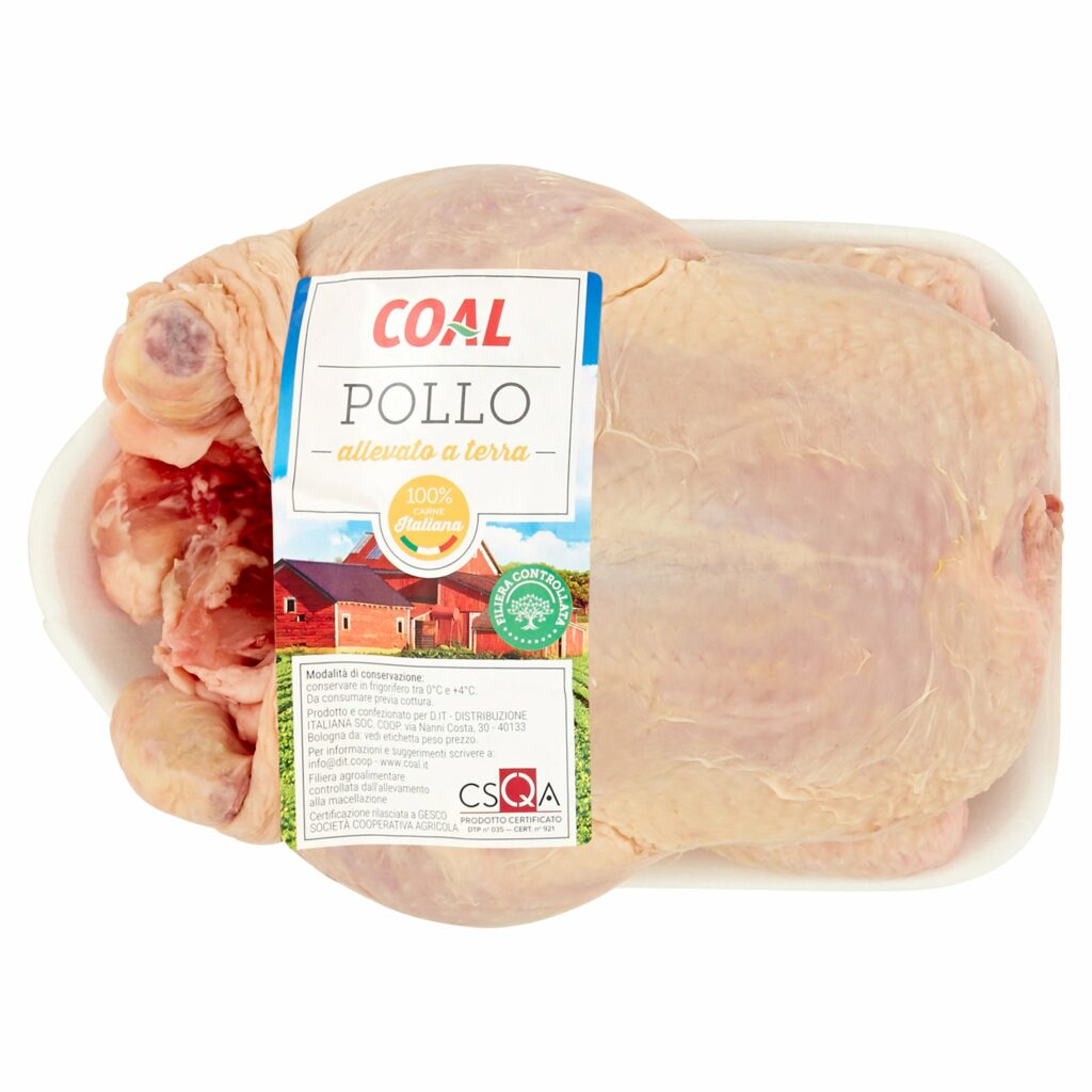 Coal Pollo Busto