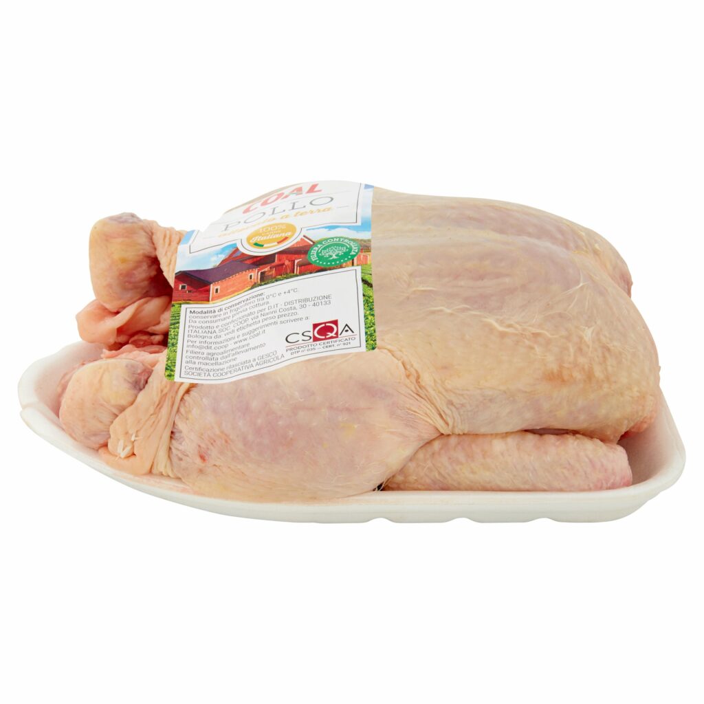 Coal Pollo Busto