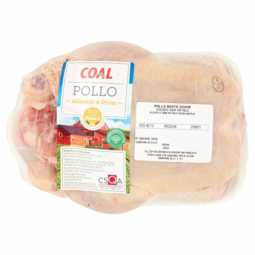 Coal Pollo Busto