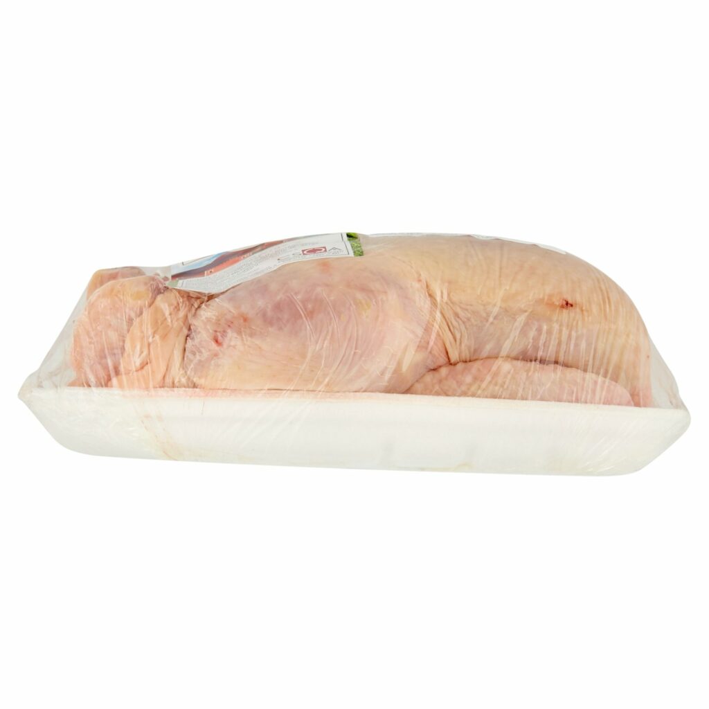 Coal Pollo Busto
