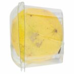 2848456000000_7892939_73