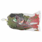 2958241000000_7892952_72