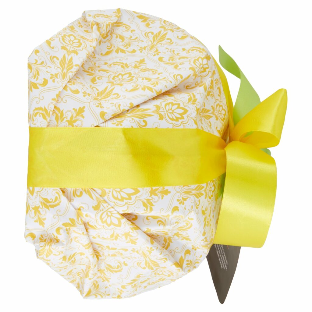 Gusto & Passione Colomba con Glassa alle Nocciole 1000 g