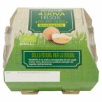 8004348136263_6908154_5