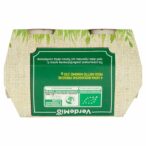 8004348136263_6908154_74