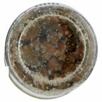 8004348138533_6418533_75