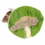 8004348142318_6823261_75