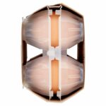 8004348144763_8276038_71