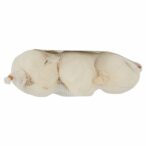 8004348145999_7896206_75