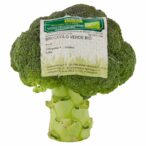 8004348146026_7896207_5