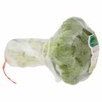 8004348146026_7896207_71