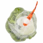 8004348146026_7896207_72