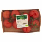 8004348147603_7892907_70