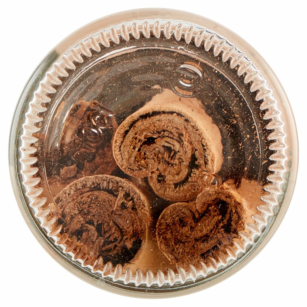 Coal Cannella in Stecche 12 g