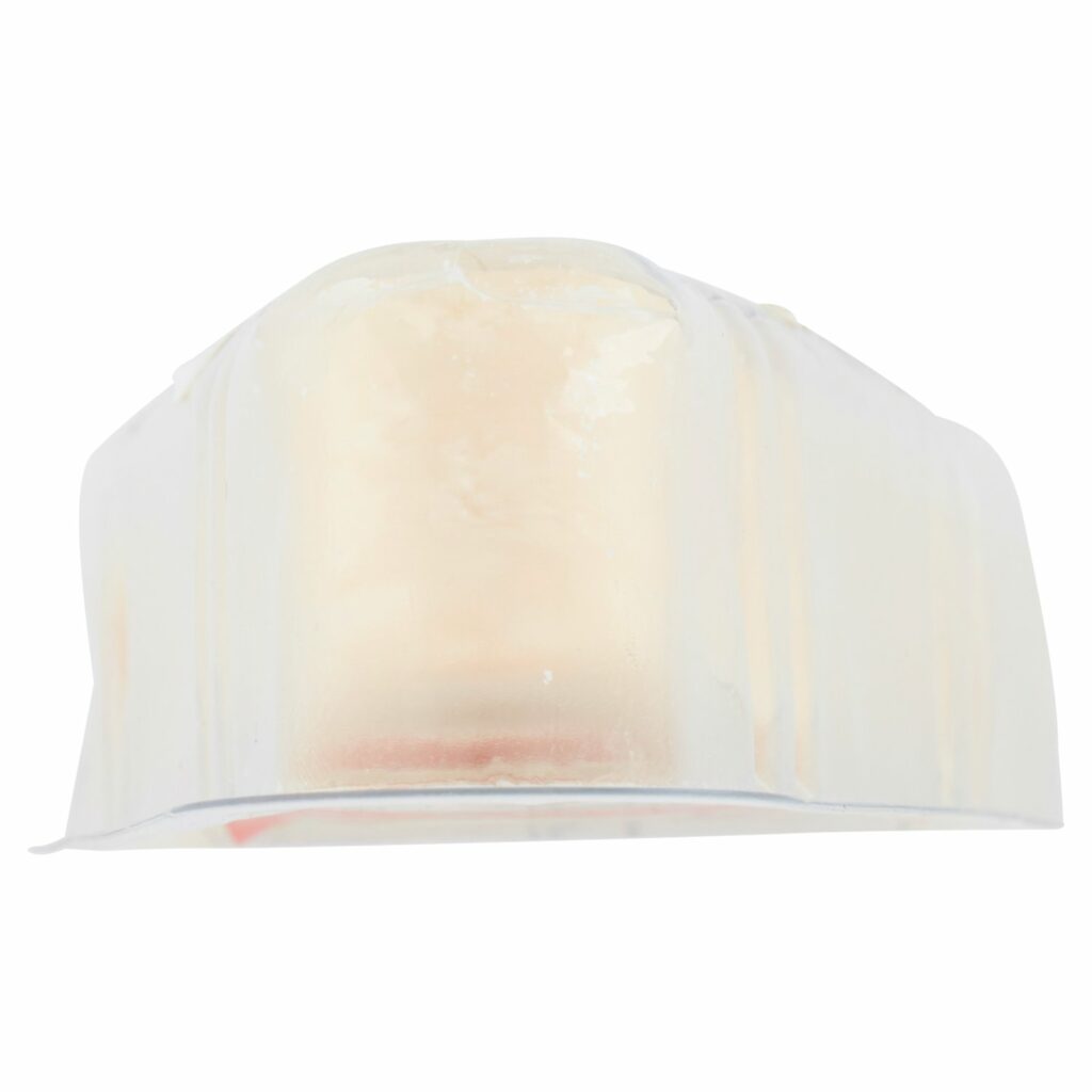 Sisa Parmigiano Reggiano DOP 0,200 kg