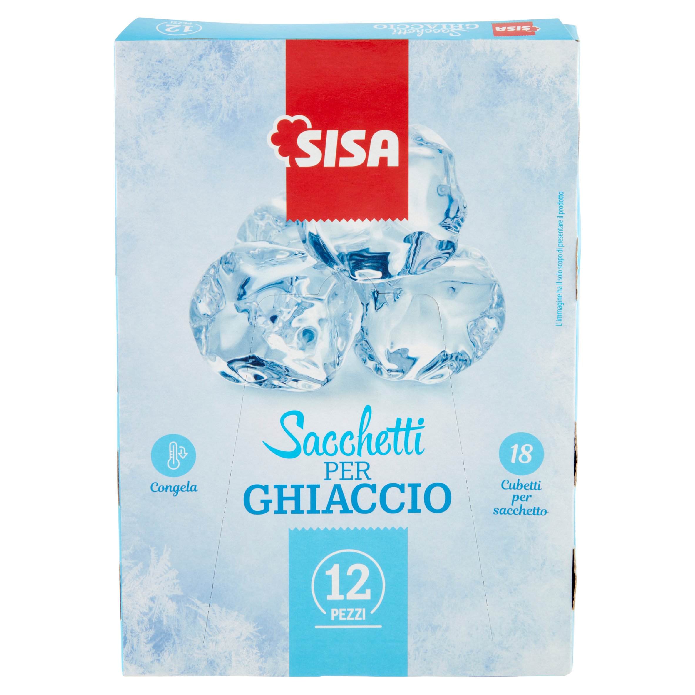 Sacchetti ghiaccio