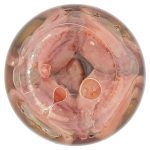 8052236007263_10058698_75