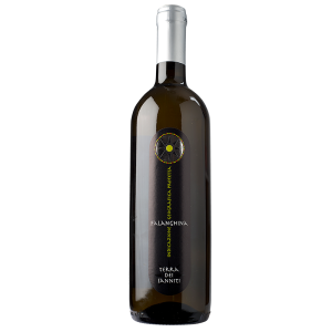 Il buon vino Falanghina IGP