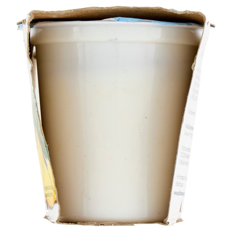 Equilibrio & Piacere Yogurt Magro all'Ananas 2 x 125 g