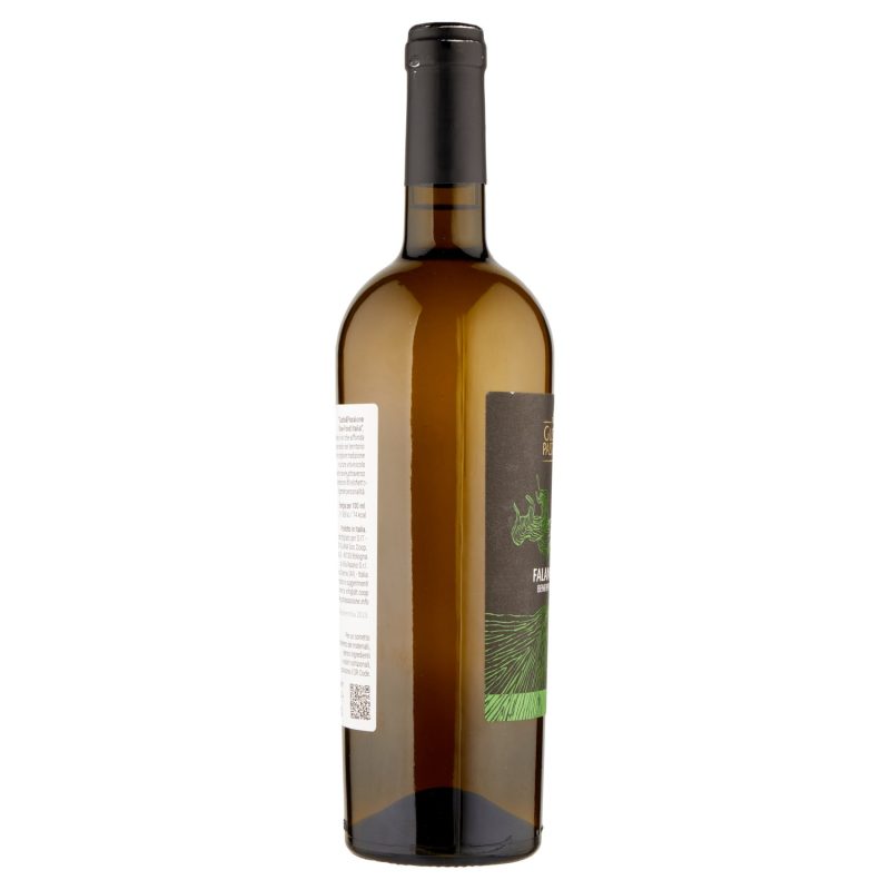 Gusto & Passione Slow Food Italia Falanghina Beneventano IGT 750 ml