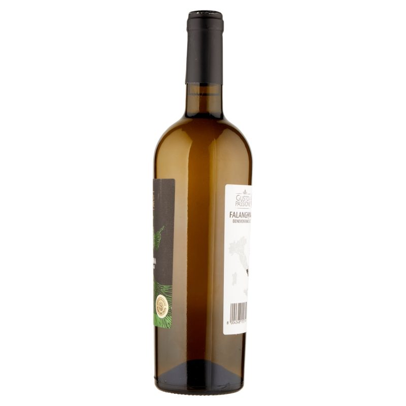 Gusto & Passione Slow Food Italia Falanghina Beneventano IGT 750 ml