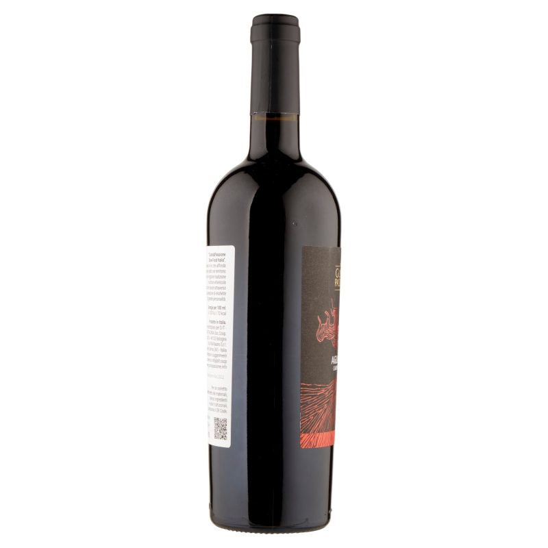 Gusto & Passione Slow Food Italia Aglianico Campania IGT 750 ml