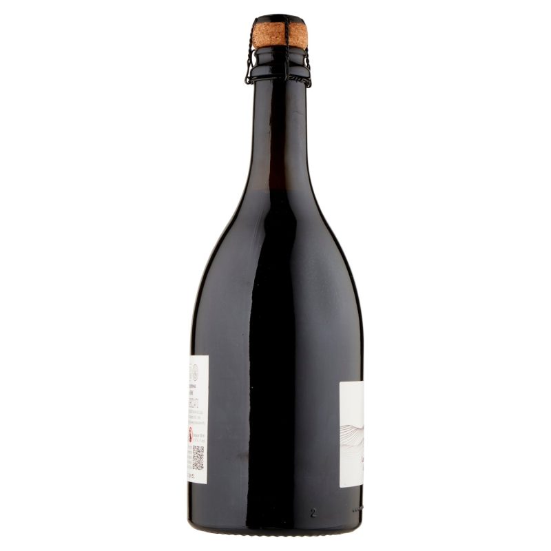 Gusto & Passione Slow Food Italia Lambrusco Grasparossa di Castelvetro DOC 750 ml