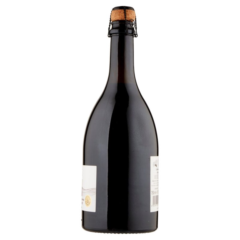 Gusto & Passione Slow Food Italia Lambrusco Grasparossa di Castelvetro DOC 750 ml