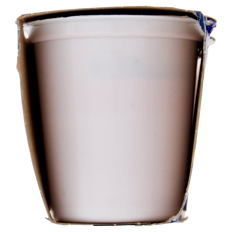 Sisa Yogurt Intero Frutti di Bosco 2 x 125 g