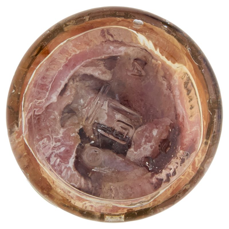 Gusto & Passione Filetti di Alici del Mar Cantabrico Distesi 100 g