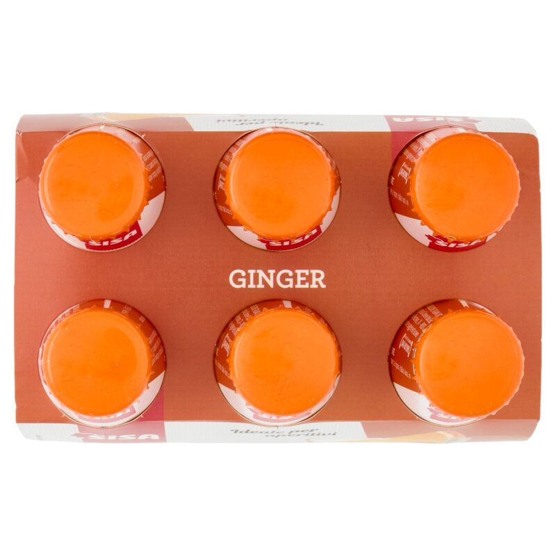 Sisa Ginger 6 x 100 ml