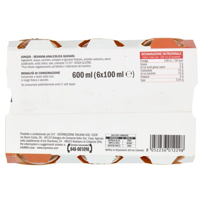 Sisa Ginger 6 x 100 ml
