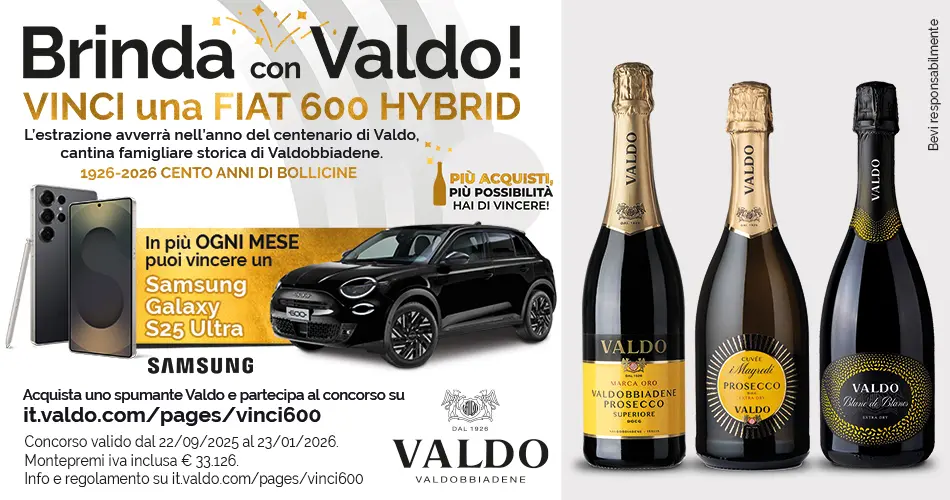 Valdo 950x500pxl Vinci600