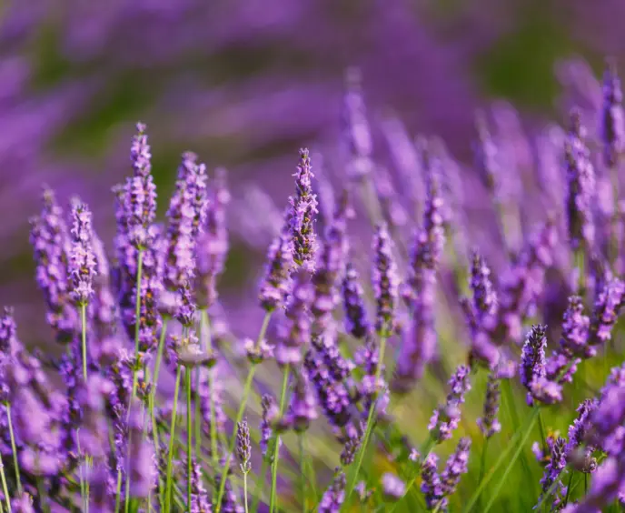 Adobestock 113162967