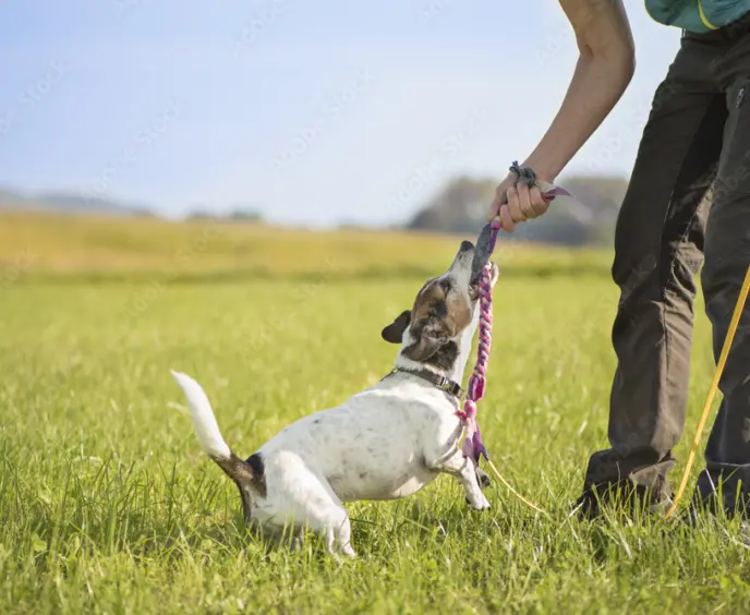 Adobestock 121975175 Preview