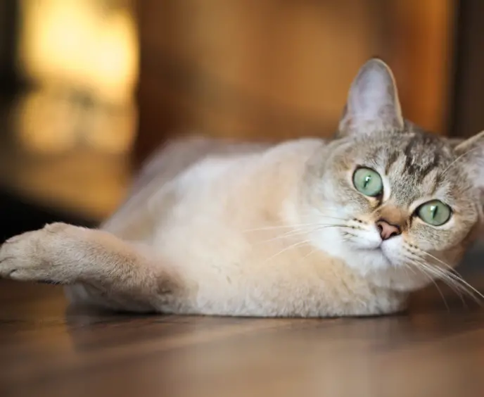 Adobestock 226303955