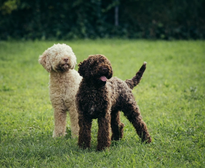 Adobestock 279897080